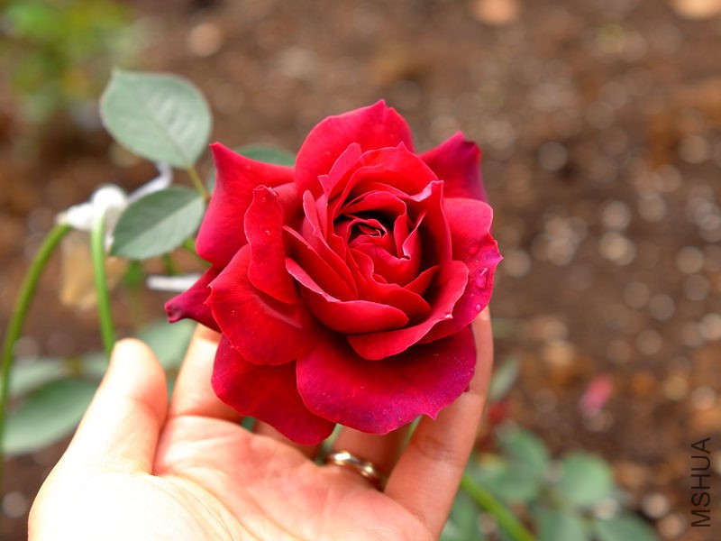�µ���160417.jpg