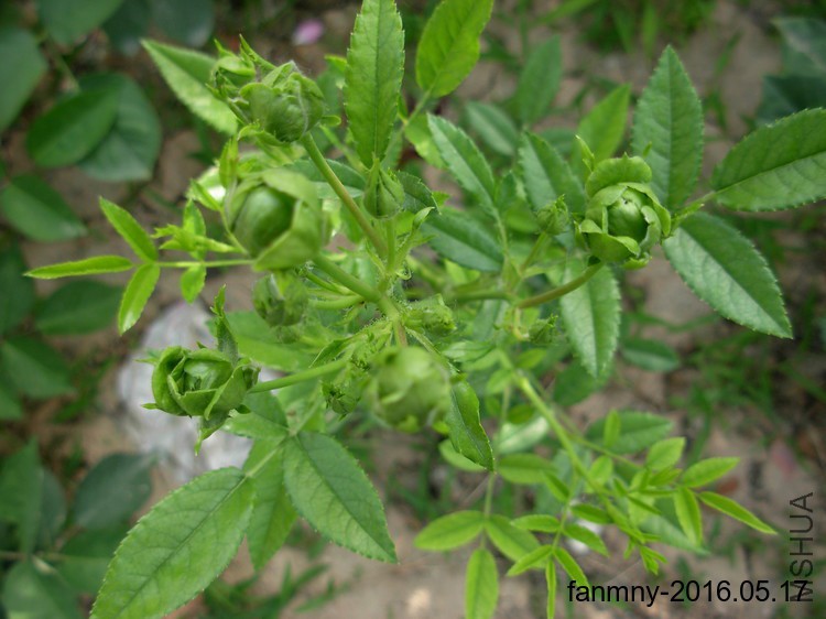 DSCN0328.JPG