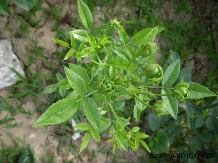 DSCN0329.JPG