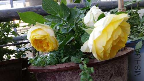 20160430_174311.jpg