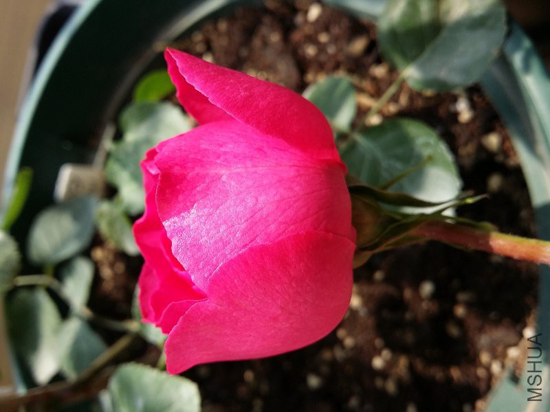 20160426_120936.jpg