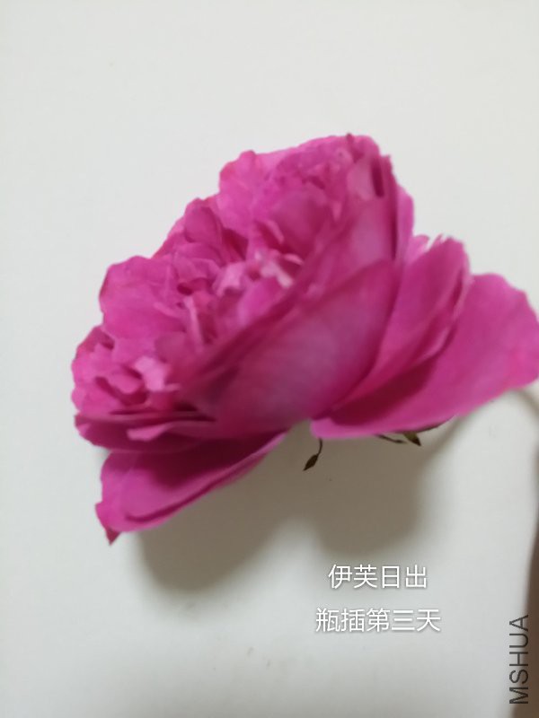 20160428_230216_mh1461855894581.jpg