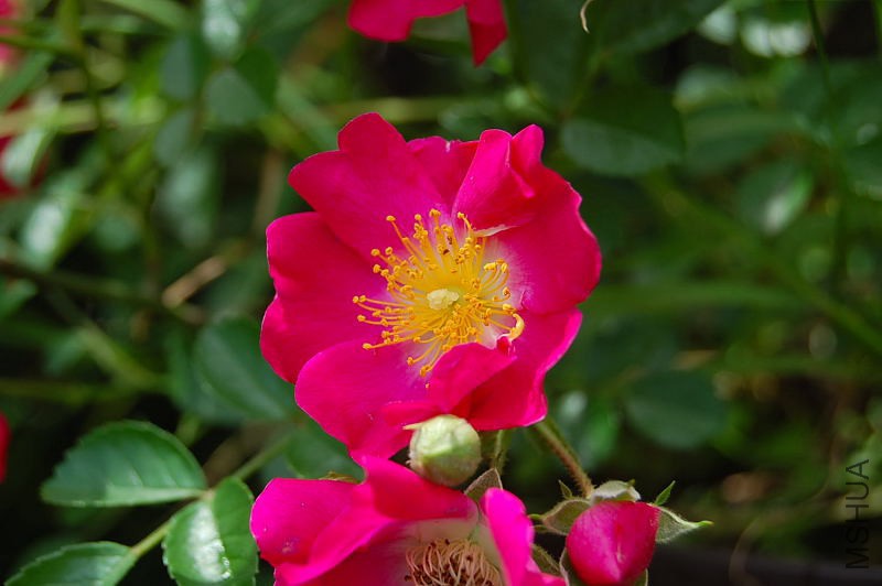 DSC_38020064.JPG