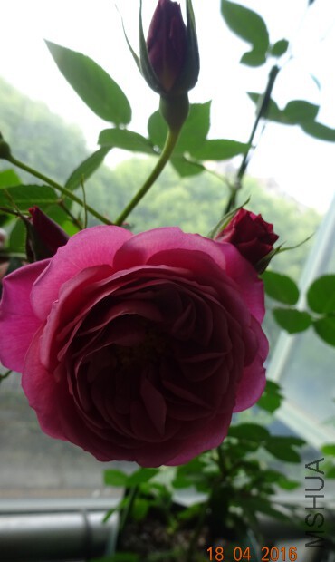QQ��ͼ20160518003150.jpg