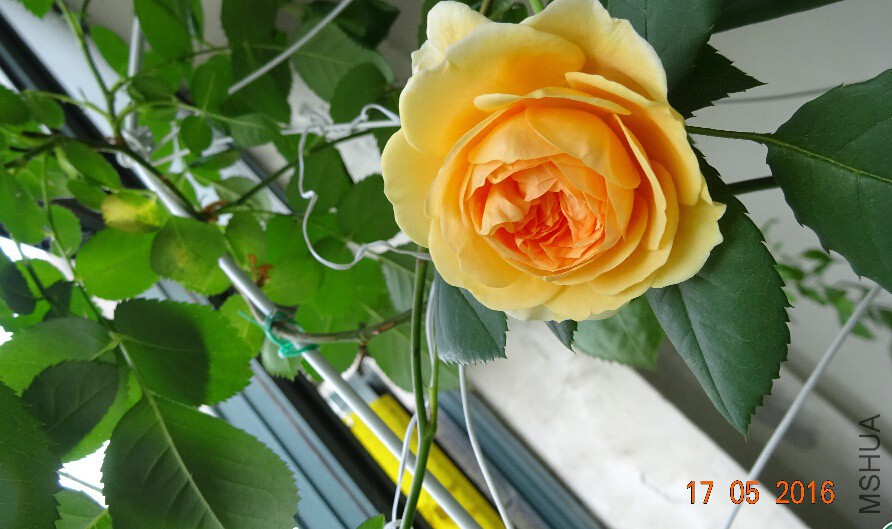 QQ��ͼ20160518002949_����.jpg