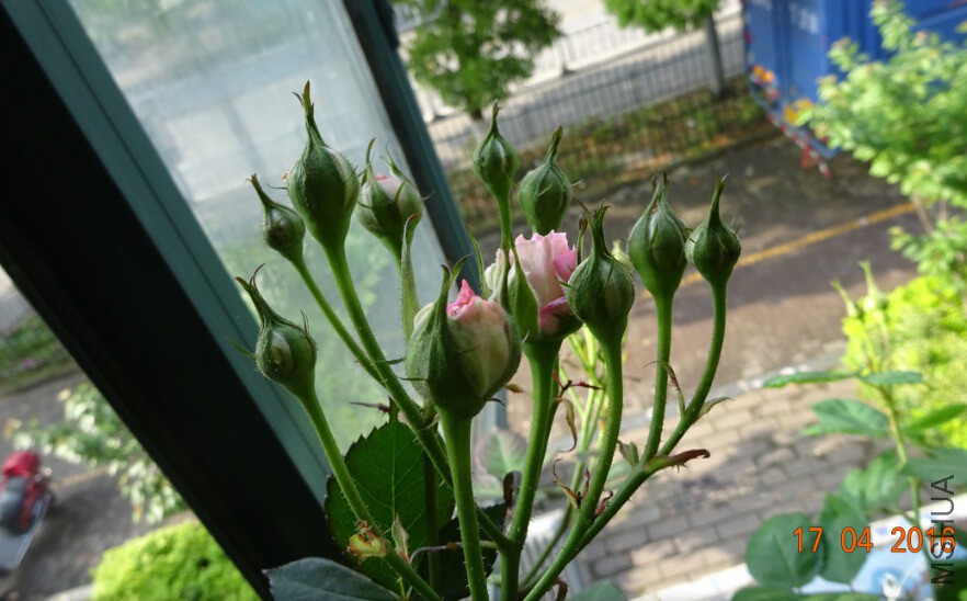 QQ��ͼ20160518003141_����.jpg