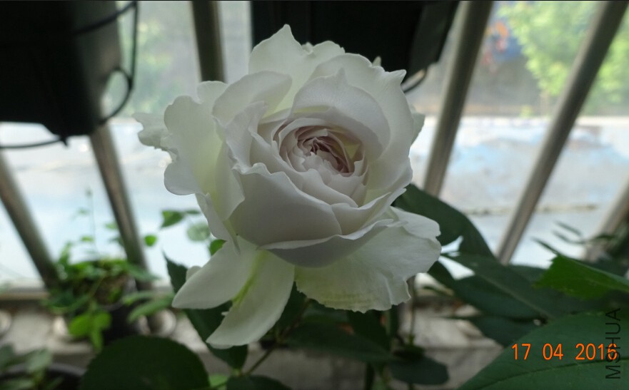 QQ��ͼ20160518003131_����.jpg