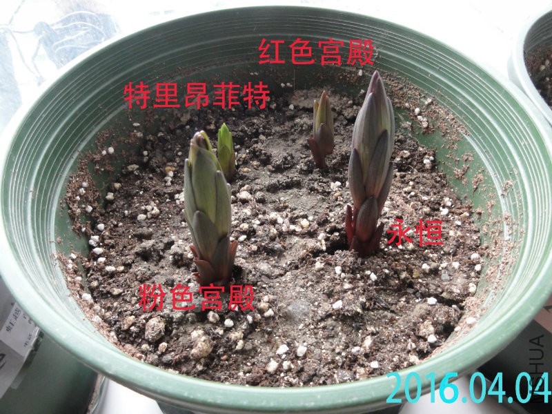 DSC08201.JPG