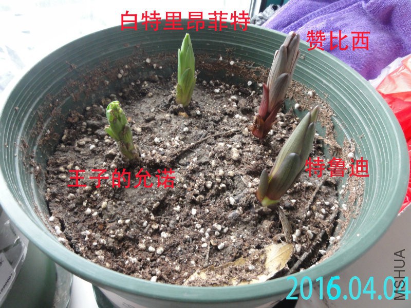 DSC08202.JPG