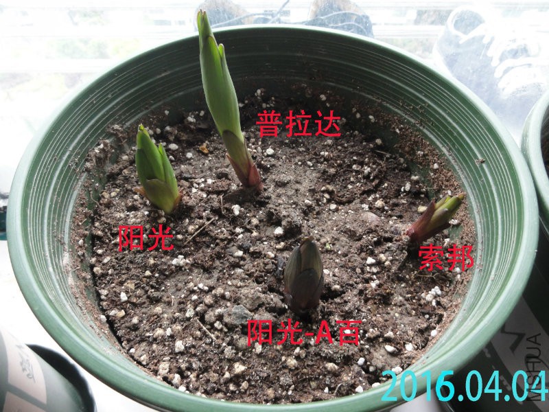 DSC08203.JPG