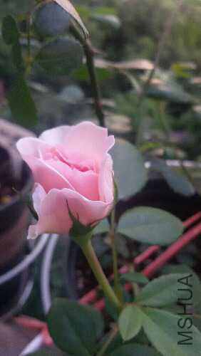 20160516_182234.jpg