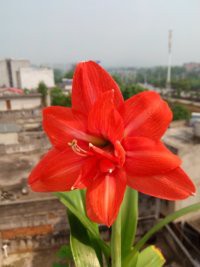 2345_image_file_copy_6.jpg