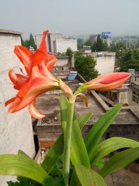 2345_image_file_copy_7.jpg