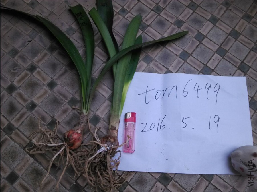 ӣ����ܽ.jpg