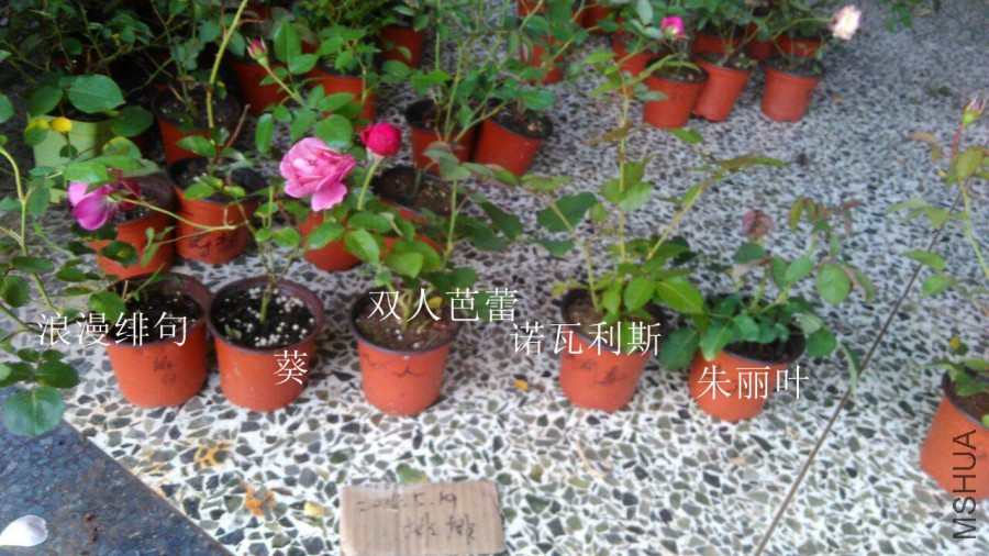 QQͼƬ20160519182236.jpg