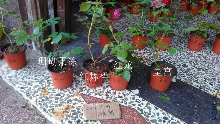 QQͼƬ20160519182255.jpg