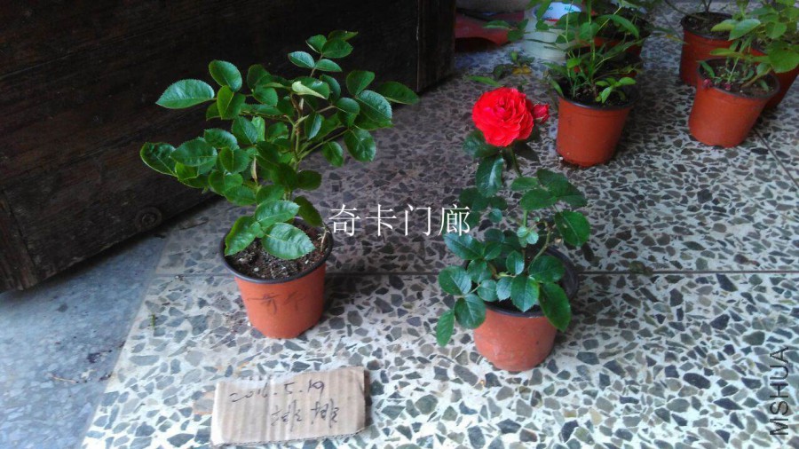QQͼƬ20160519182304.jpg