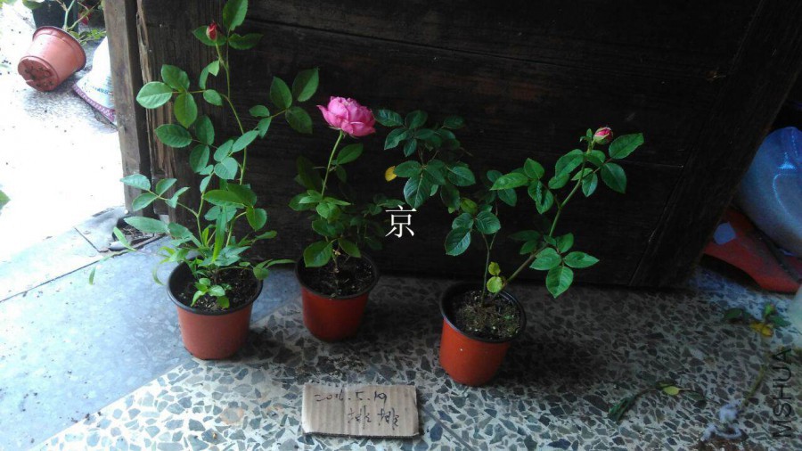 QQͼƬ20160519182323.jpg
