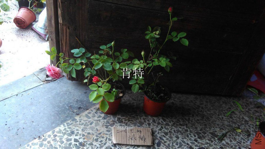 QQͼƬ20160519182307.jpg