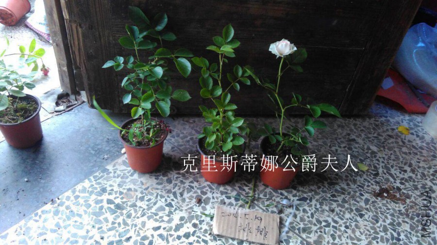 QQͼƬ20160519182326.jpg