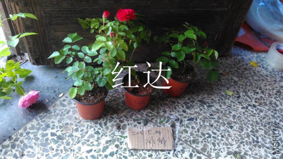 QQͼƬ20160519182329.jpg