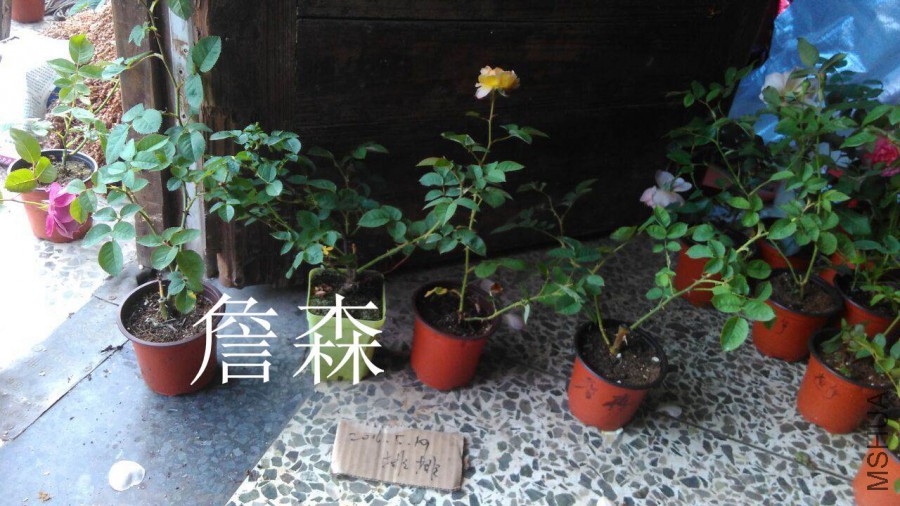 QQͼƬ20160519182339.jpg