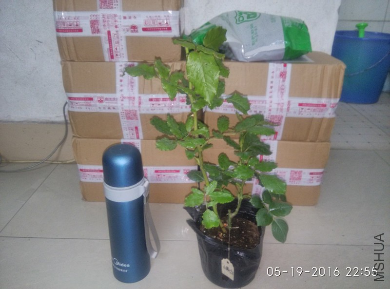 С�Ƽ� ��������