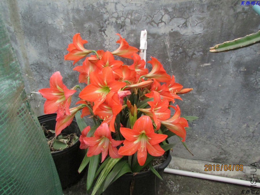 IMG_3804_nEO_IMG.jpg