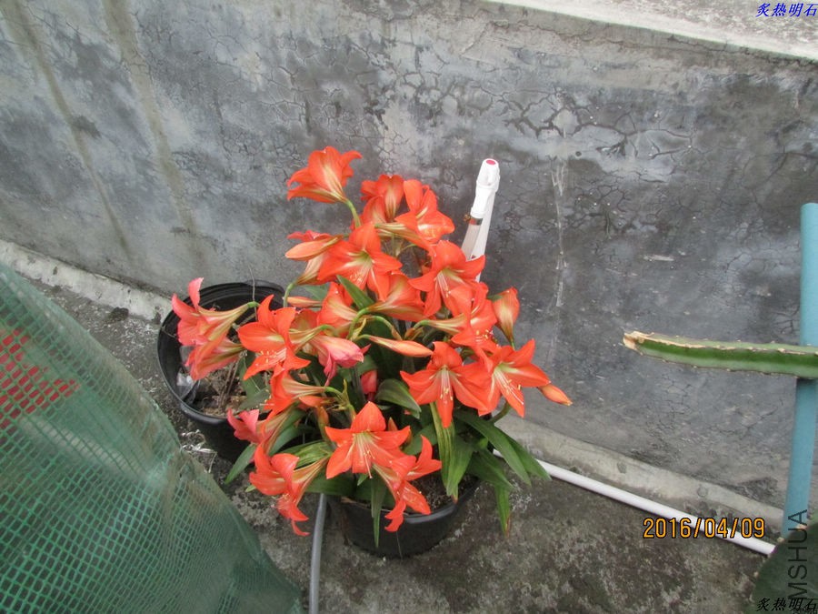 IMG_3806_nEO_IMG.jpg
