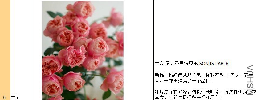 66.jpg