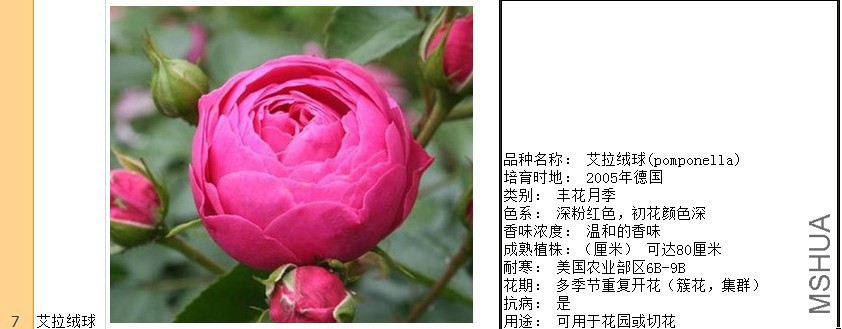 77.jpg