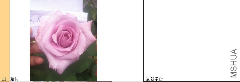 111.jpg
