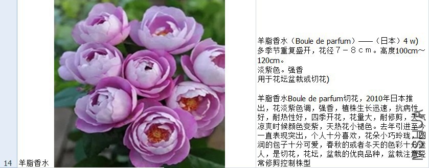 114.jpg