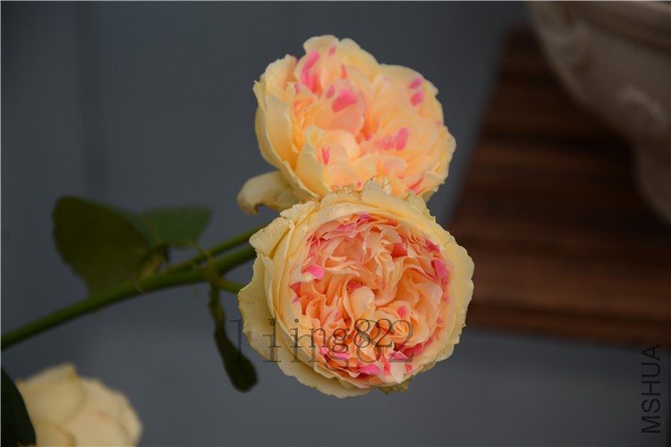 DSC_6851.jpg