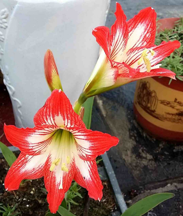 20160520_063355.jpg