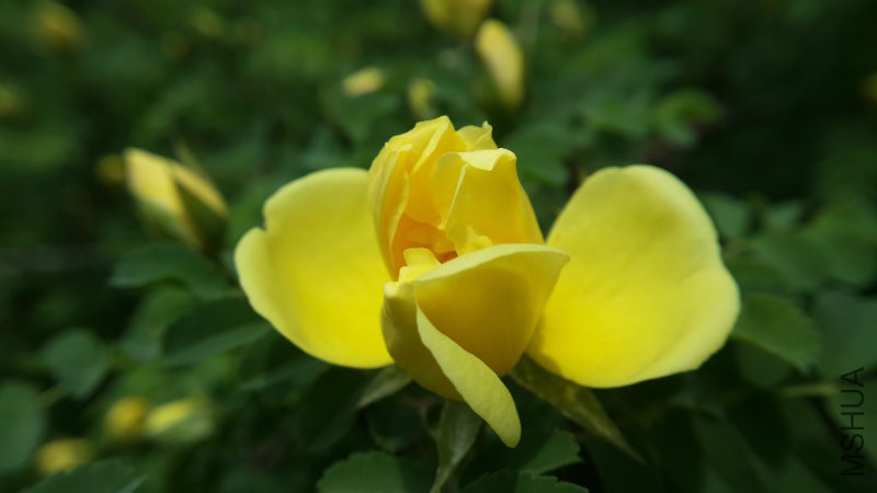 20160415_112241.jpg