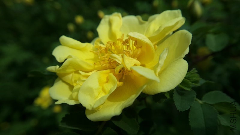 20160415_112308.jpg