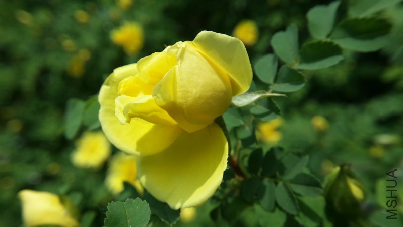 20160415_112907.jpg