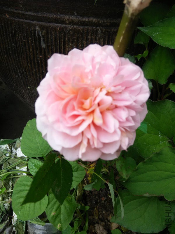 IMG20160520131416.jpg
