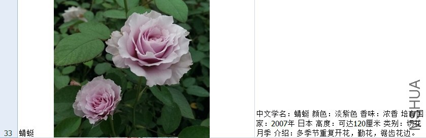 133.jpg