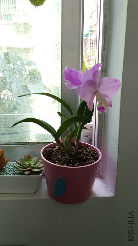 20160325_135414.jpg