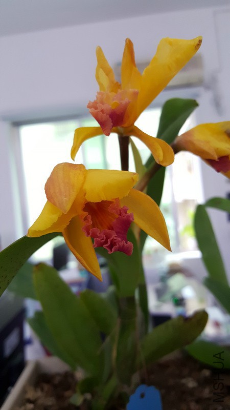 20160406_102723.jpg
