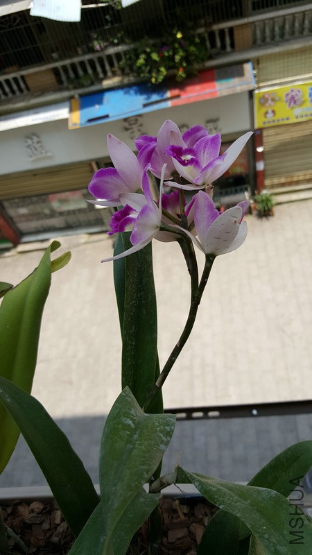 20160517_125716.jpg