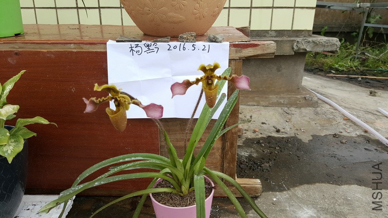 20160521_163054.jpg