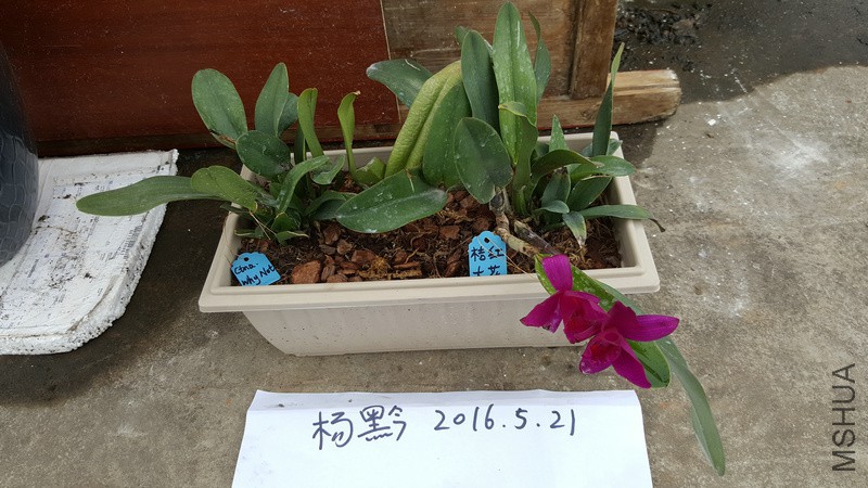 20160521_163332.jpg