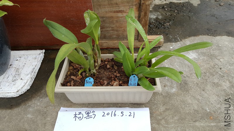 20160521_163445.jpg