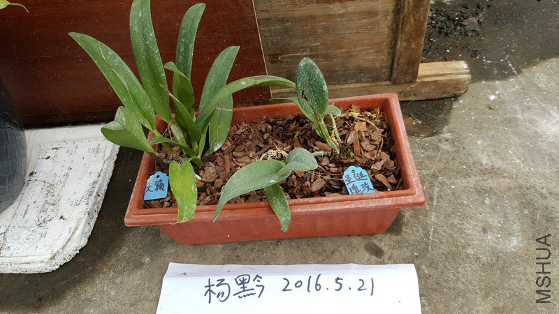 20160521_163805.jpg