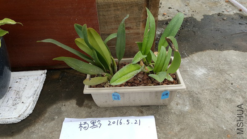 20160521_164033.jpg