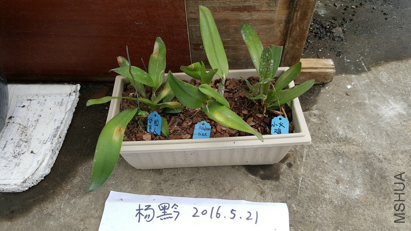 20160521_164135.jpg