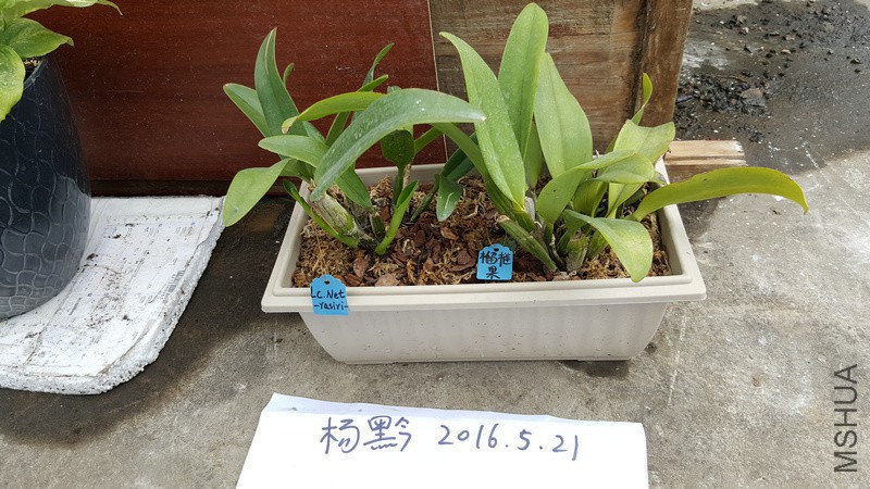 20160521_164230.jpg